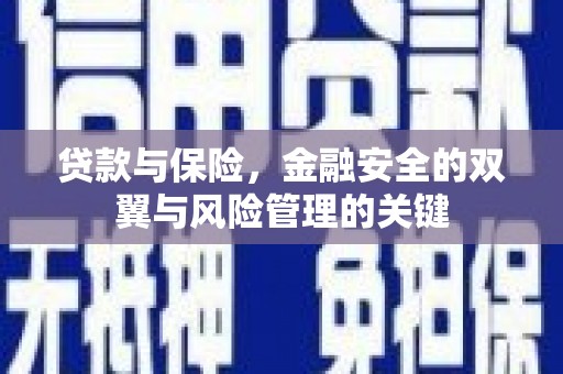 观音贷款与保险，金融安全的双翼与风险管理的关键