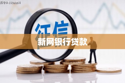贞丰新网银行贷款