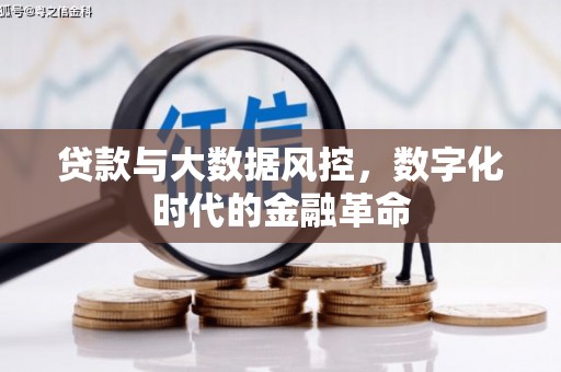 西峡贷款与大数据风控，数字化时代的金融革命