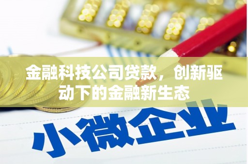 九龙城金融科技公司贷款，创新驱动下的金融新生态