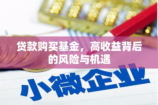 乐清贷款购买基金，高收益背后的风险与机遇