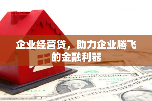 九龙城企业经营贷，助力企业腾飞的金融利器