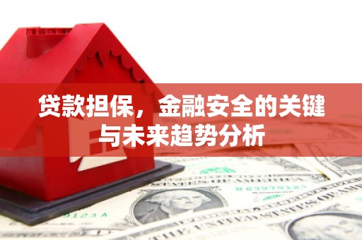 九龙城贷款担保，金融安全的关键与未来趋势分析