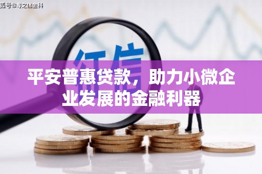 蕲春平安普惠贷款，助力小微企业发展的金融利器
