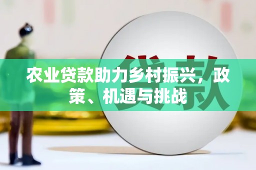 姚安农业贷款助力乡村振兴，政策、机遇与挑战
