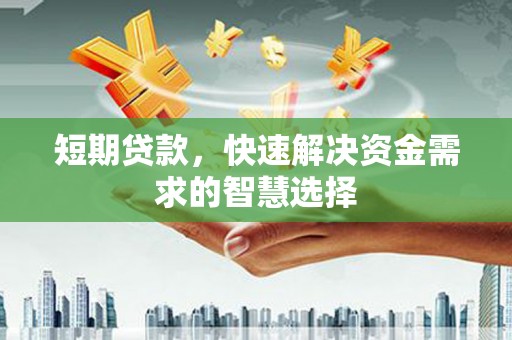 新园短期贷款，快速解决资金需求的智慧选择