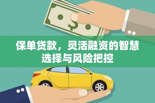 龙崎保单贷款，灵活融资的智慧选择与风险把控