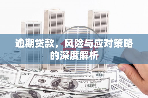 鄂伦春逾期贷款，风险与应对策略的深度解析
