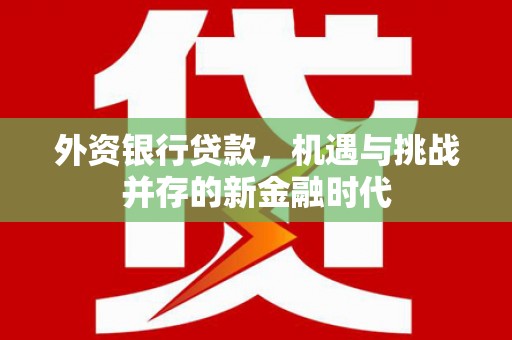 雨山外资银行贷款，机遇与挑战并存的新金融时代