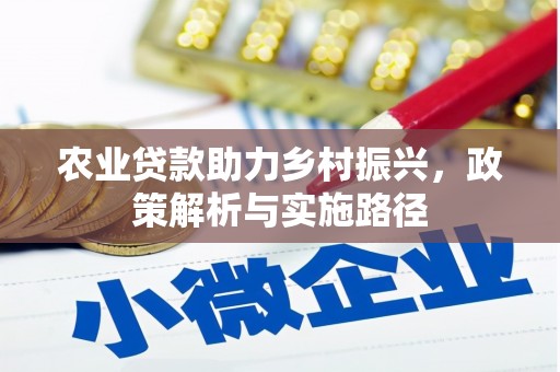 阿图什农业贷款助力乡村振兴，政策解析与实施路径