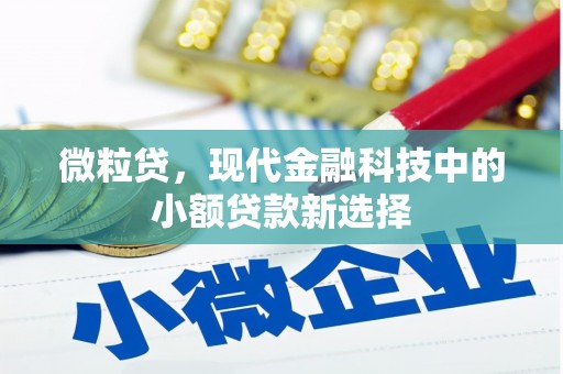 历城微粒贷，现代金融科技中的小额贷款新选择
