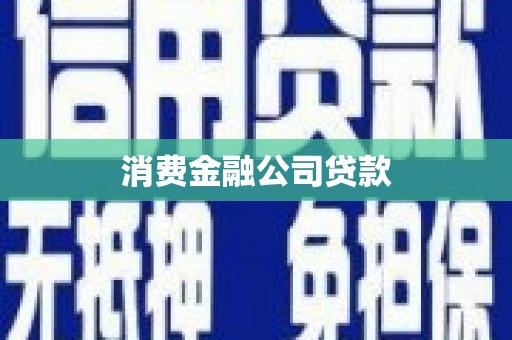 西塞山消费金融公司贷款