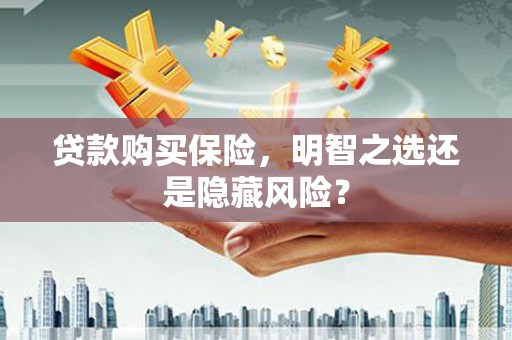 台西贷款购买保险，明智之选还是隐藏风险？