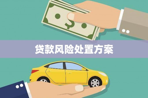 九龙城贷款风险处置方案