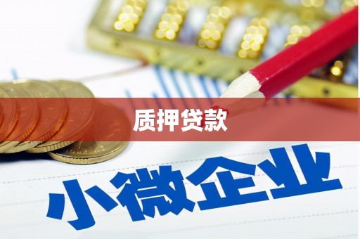 沿滩质押贷款