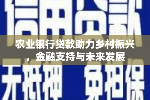 岳塘农业银行贷款助力乡村振兴，金融支持与未来发展