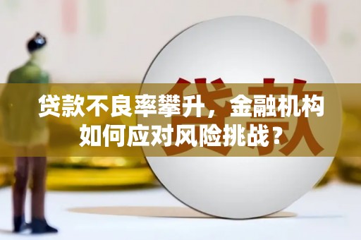 漳州贷款不良率攀升，金融机构如何应对风险挑战？