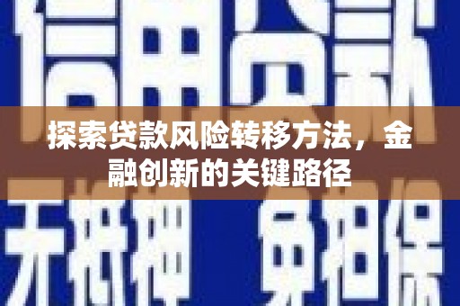 邵东探索贷款风险转移方法，金融创新的关键路径