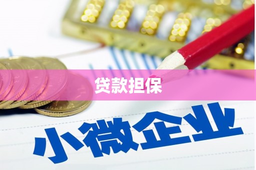 双清贷款担保