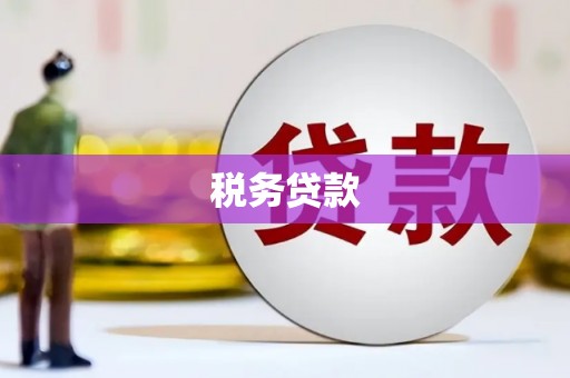 黄骅税务贷款