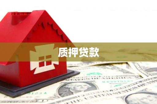 西丰质押贷款