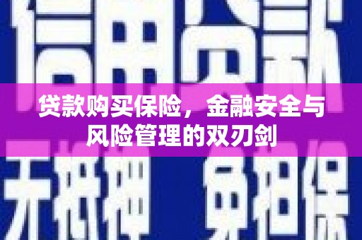 泽普贷款购买保险，金融安全与风险管理的双刃剑
