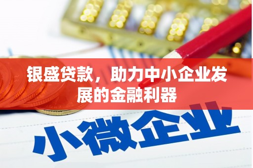铜仁银盛贷款，助力中小企业发展的金融利器