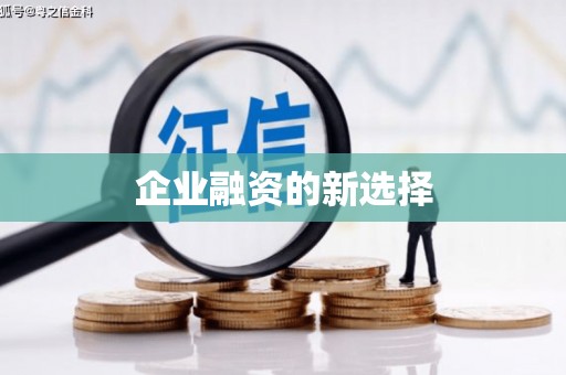 龙湾企业融资的新选择