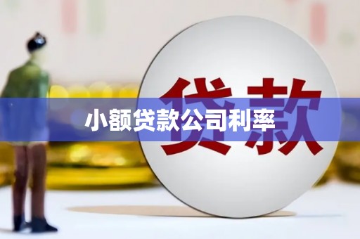 宁江小额贷款公司利率