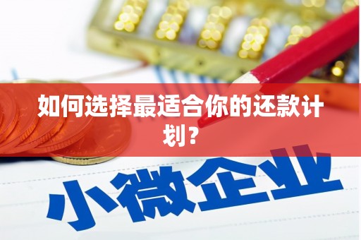工布江达如何选择最适合你的还款计划？