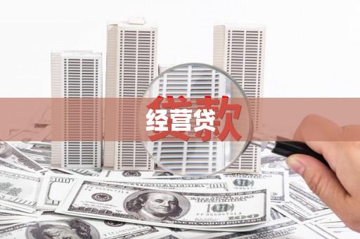芦淞经营贷