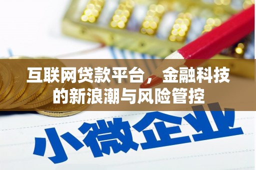 寿丰互联网贷款平台，金融科技的新浪潮与风险管控