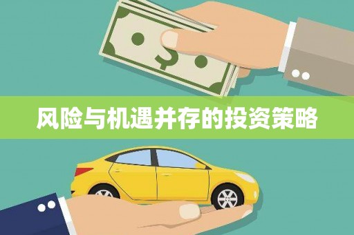 南京风险与机遇并存的投资策略