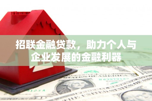 馆陶招联金融贷款，助力个人与企业发展的金融利器