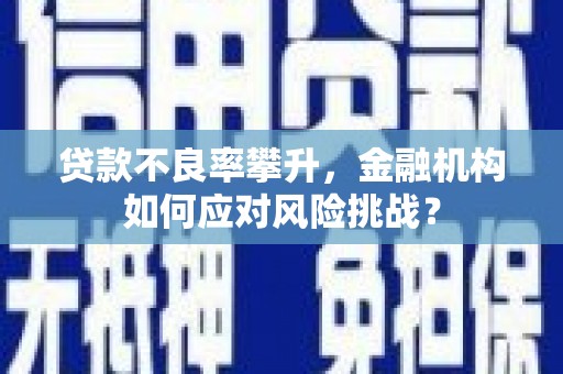 双城贷款不良率攀升，金融机构如何应对风险挑战？