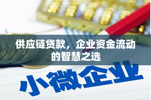芦淞供应链贷款，企业资金流动的智慧之选