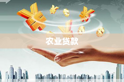 田林农业贷款