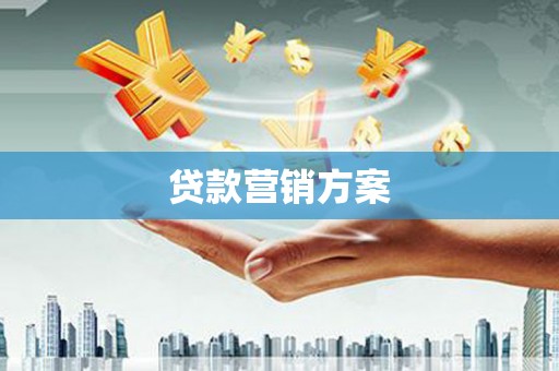 凯里贷款营销方案