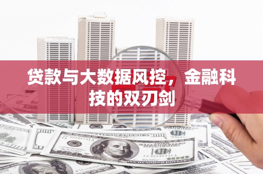大丰贷款与大数据风控，金融科技的双刃剑