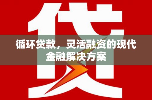 乐东循环贷款，灵活融资的现代金融解决方案