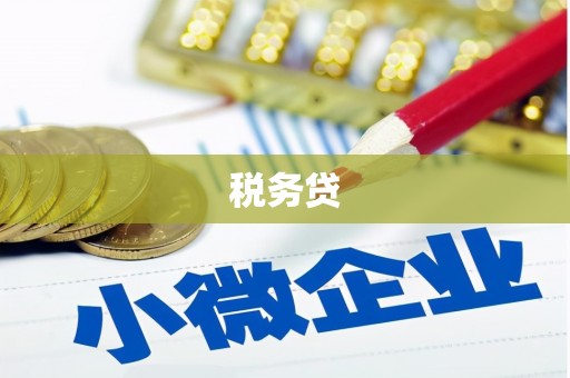 郸城税务贷