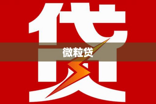 靖州微粒贷