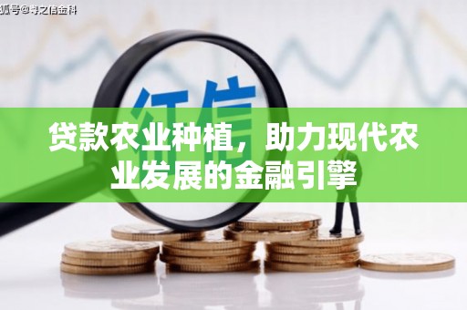 社旗贷款农业种植，助力现代农业发展的金融引擎