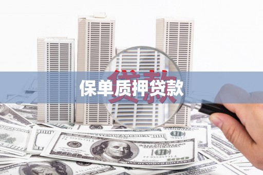 德保保单质押贷款