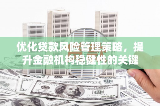 镇巴优化贷款风险管理策略，提升金融机构稳健性的关键
