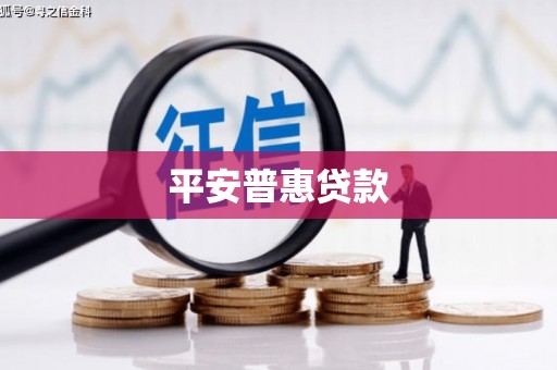 册亨平安普惠贷款
