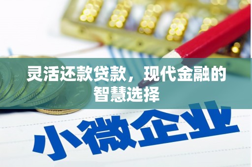 五台灵活还款贷款，现代金融的智慧选择