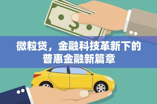 卢龙微粒贷，金融科技革新下的普惠金融新篇章