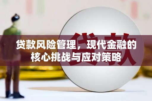 卓溪贷款风险管理，现代金融的核心挑战与应对策略