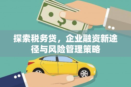 虎林探索税务贷，企业融资新途径与风险管理策略
